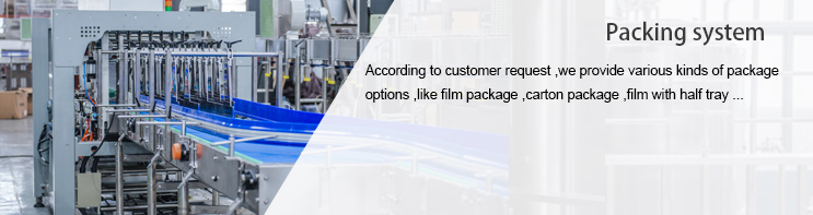 Packing System Packing System