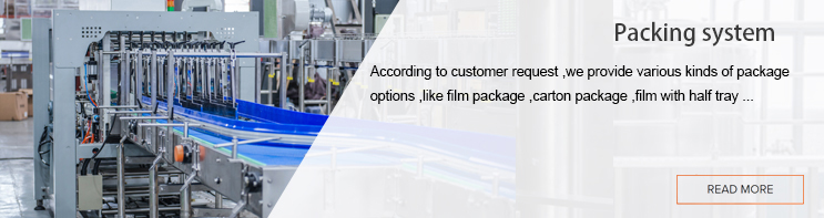 ระบบการบรรจุ